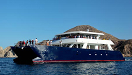 Wedding Catamaran Charter, Los Cabos, Cabo San Lucas, Rentals, Charters, Catamaran, Boats